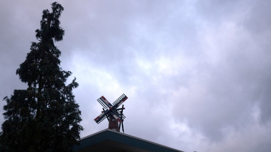 P1450040.jpg