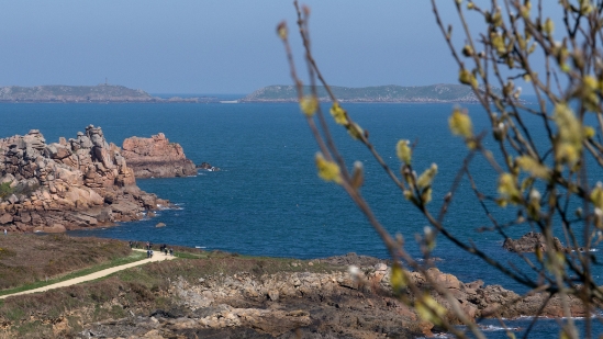 P1450850.jpg