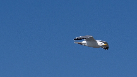 P1460254.jpg