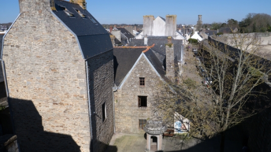 P1460467.jpg