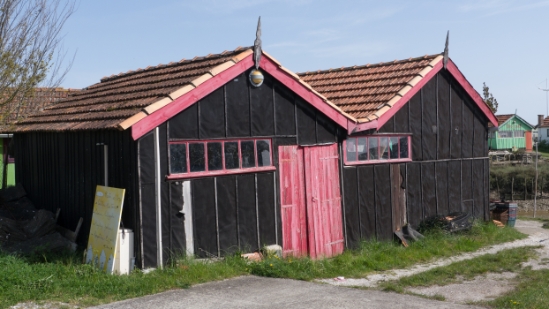 P1470088.jpg