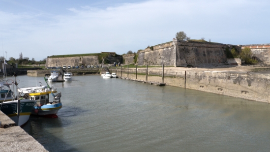 P1470100.jpg