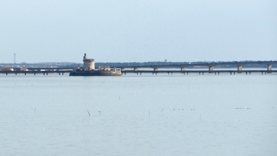 P1470137.jpg