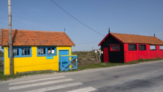 P1470157.jpg