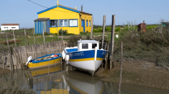 P1470161.jpg