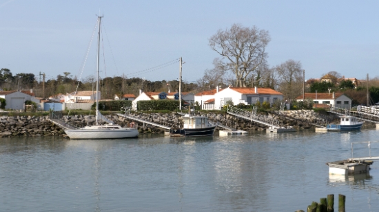 P1470165.jpg