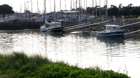 P1470167.jpg