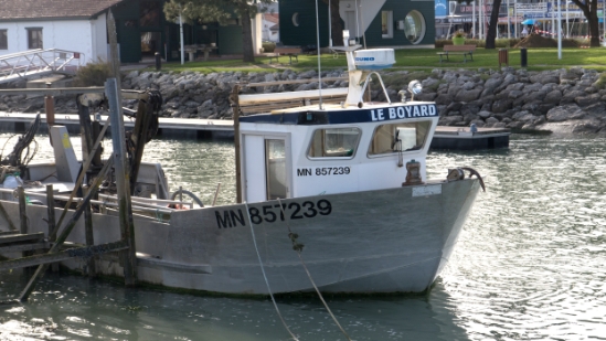 P1470184.jpg
