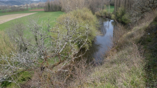 P1470421.jpg