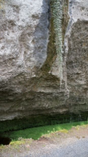 P1470441.jpg