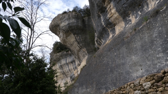 P1470485.jpg