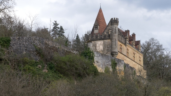 P1470517.jpg