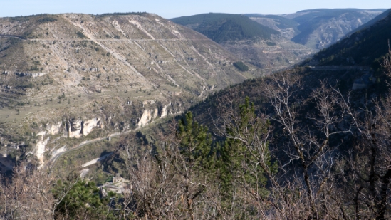 P1480071.jpg