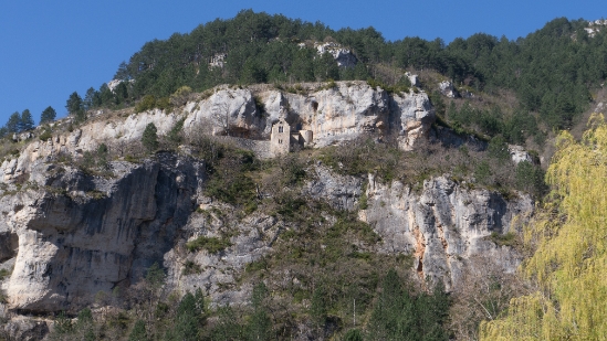 P1480094.jpg