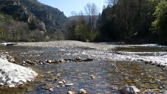 P1480107.jpg