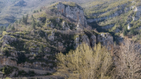 P1480143.jpg