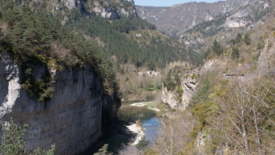 P1480169.jpg