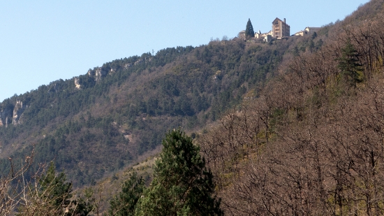 P1480195.jpg