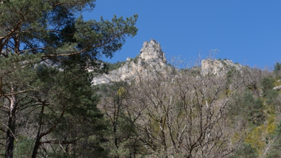 P1480203.jpg