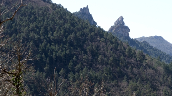 P1480216.jpg