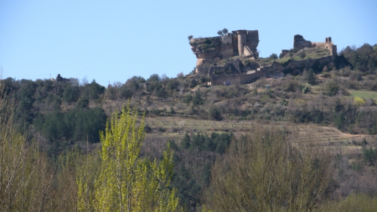 P1480238.jpg