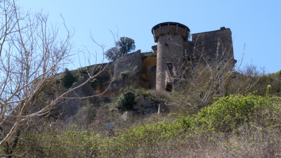 P1480243.jpg