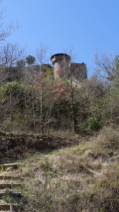P1480247.jpg