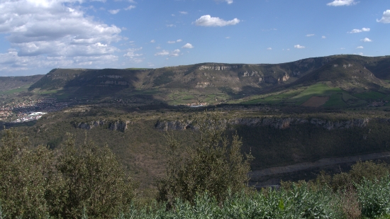 P1480333.jpg