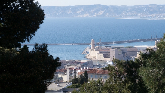 P1480765.jpg
