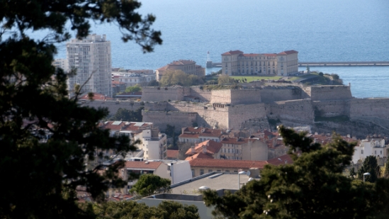 P1480842.jpg