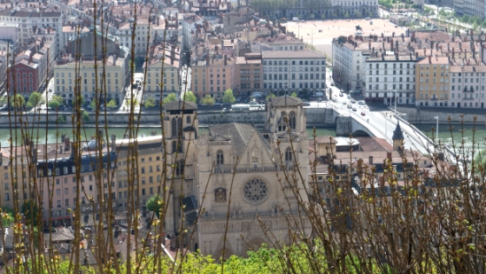 P1490365.jpg
