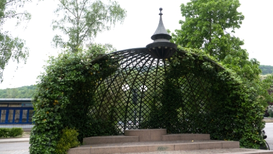 P1500311.jpg