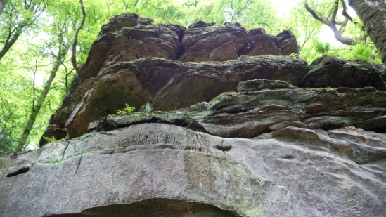 P1500468.jpg