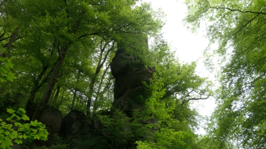 P1500503.jpg