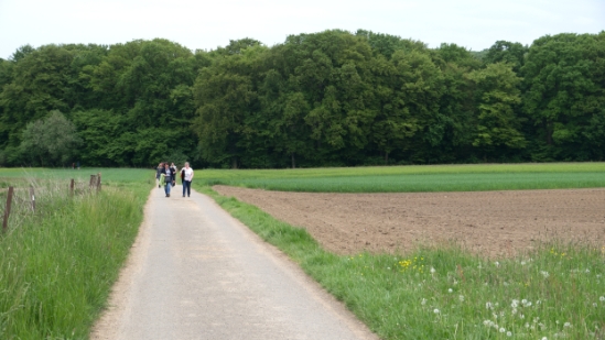 P1500538.jpg