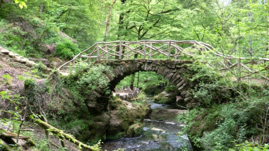 P1500543.jpg