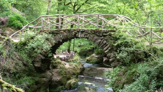 P1500544.jpg