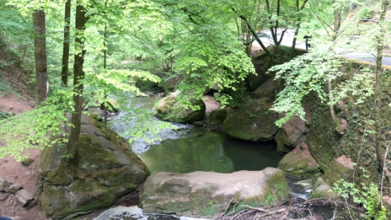 P1500554.jpg
