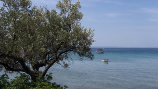 P1510228.jpg
