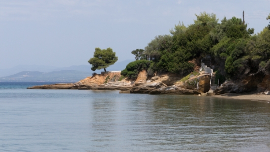 P1510230.jpg
