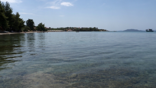 P1510241.jpg