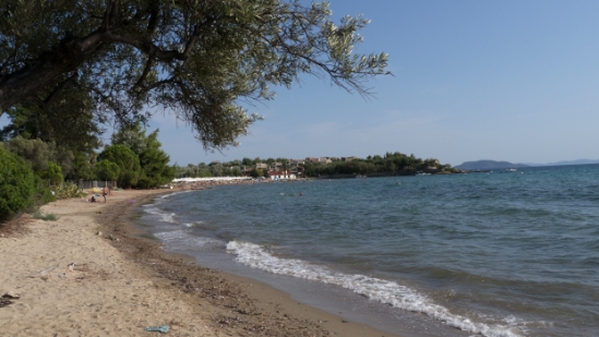 P1520116.jpg