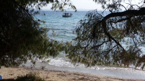 P1520117.jpg