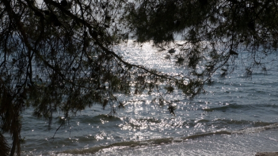 P1520118.jpg