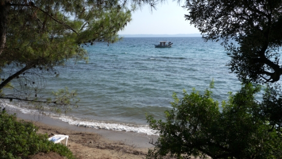 P1520119.jpg