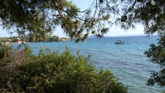 P1520123.jpg