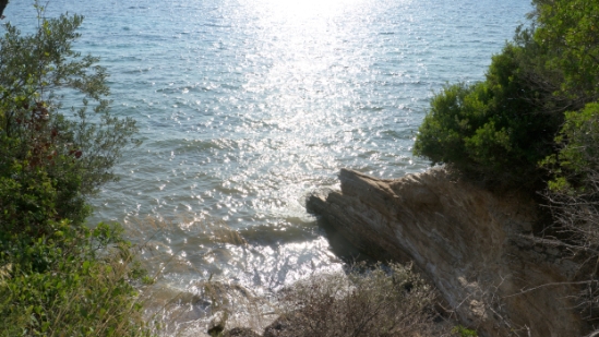 P1520125.jpg
