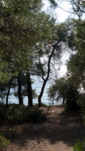 P1520132.jpg
