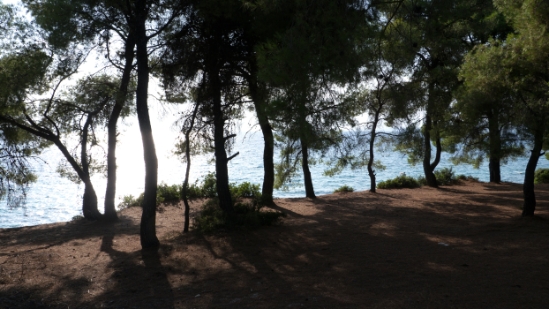 P1520133.jpg