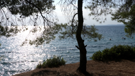 P1520134.jpg